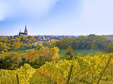 Aktivurlaub und Wellness am Fuß der Eltviller Weinberge
